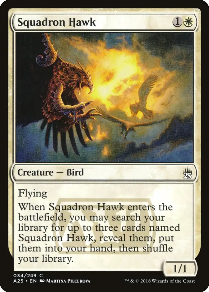 Squadron Hawk (Masters 25)